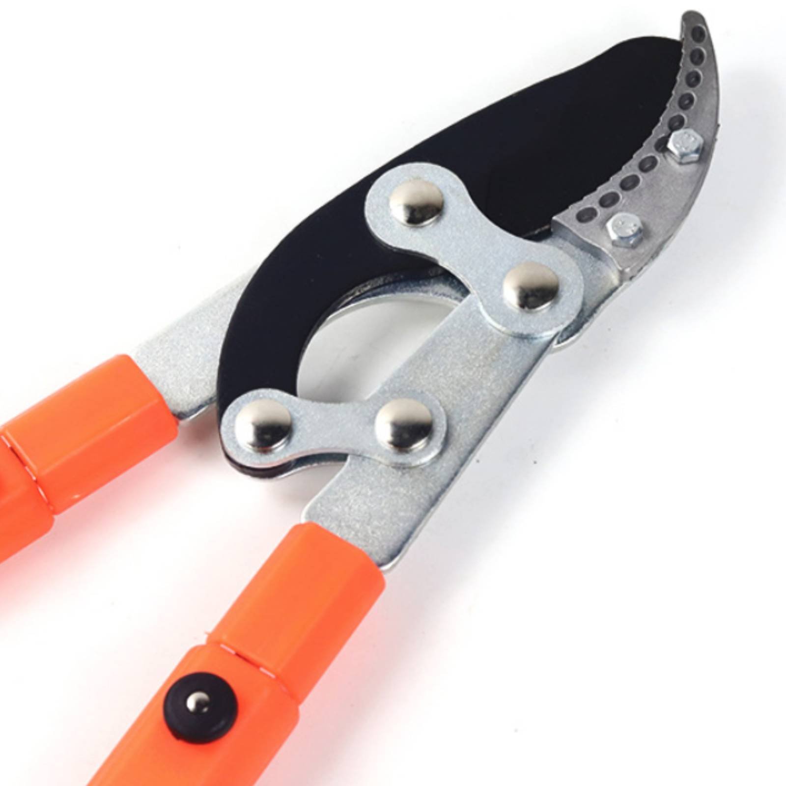 Podadoras telescópicas para ra - Garden Tools reseña y precio